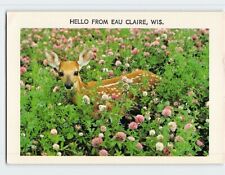 Postcard Young Deer Hello from Eau Clair Wisconsin USA picture