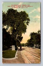 Cambridge MA-Massachusetts, The Washington Elm, Antique, Vintage c1913 Postcard picture