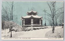 Postcard Peoria IL Glen Oak Park Squirrel House in Winter Time Posted 1913 picture