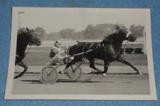 Vintage Circa 1970s Harness Racing Press Photo Horse 