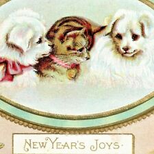 c1907 New Year's Puppies and Kitten, champagne, vintage postcard embossed cute picture