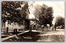 Fairville NY~Street Scene~Children & Big Horses~Boy w/Reins~Homes~c1907 RPPC picture