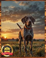 German Shorthaired Pointer - The Hunt - Ducks Unlimited - Metal Sign 11 x 14 picture