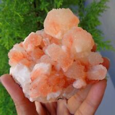 Light Orange Apophyllite Crystals w/ Stilbite Minerals Specimen #E34 picture