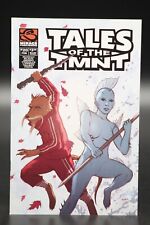 Tales of the TMNT Teenage Mutant Ninja Turtles (2004) #20 Jonathan Luna Cover NM picture