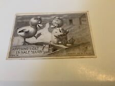 Fishing Ducks ~ Anything I get Is Half Yours - c.1910 F. Bluh - Antique Postcard picture