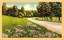 Vintage Postcard- A road through a park. UnPost 1930s picture