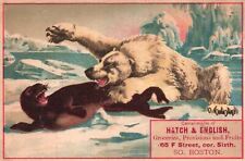 1880s-90s Polar Bear Attacking Seal Hatch & English Groceries Boston Trade Card picture