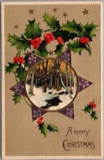 c1910s CHRISTMAS Embossed Greetings Postcard Six-Pointed Star / Woods Scene picture