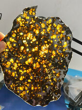 214g Beautiful Brenham meteorite Iron meteorite thin slice-from USA picture