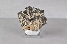 Pyrrhotite from Dalnegorsk, Russia 6.2 cm # 17947 picture