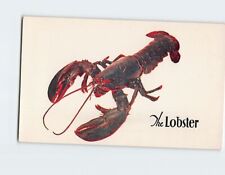 Postcard The Lobster New York City New York USA picture
