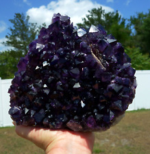 XL BLACK GRAPE AMETHYST Quartz 8 Pound Crystal Points Cluster From URUGUAY picture