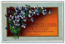 Valley City North Dakota ND Postcard Flower Embossed Town Beats Anything c1910 picture