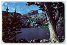 c1960s Bear Lake and Hallett's Park The Bond Agency Estes Park CO Postcard picture