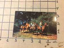Vintage UNUSED Postcard -- GROUP OF HORSEBACK RIDERS picture