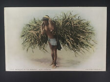 Mint NM USA Picture Postcard Native American Indian Pueblo Hopi Bringing harvest picture