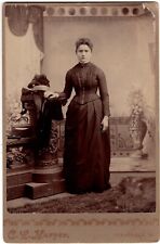 CIRCA 1880s CABINET CARD C.L. HARPER LADY IN DRESS SPECTACULAR DETAIL CLEARFIELD picture