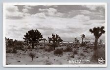 Postcard RPPC Desert Clouds Arizona Frashers Fotos Cactus picture
