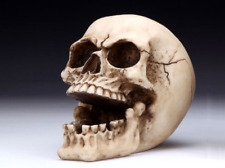 Skull Ashtray Figurine Statue Skeleton Halloween picture