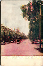 Vtg 1908 Palmetto Avenue Los Angeles California CA Postcard picture