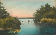 Pennsylvania Eagles Mere Rustic Bridge Lake Albertype Postcard 22-1824 picture