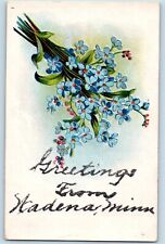 Wadena Minnesota Postcard Greetings Flower Embossed Glitter 1910 Vintage Antique picture