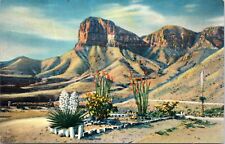 Postcard NM Signal Peak in Guadalupe Mountains picture