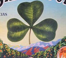 Vintage Advertising Fruit Crate Label -- Shamrock Brand -- Valencias - Sunkist picture