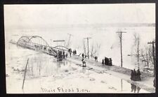Muir Michigan Flood Scene People Bridge Postcard picture