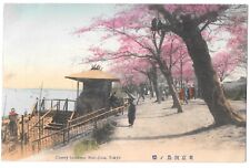 C.1910 PPC Japan, CHERRY BLOSSOMS, MUKOJIMA TOKYO, RIVER Antique Postcard P5 picture