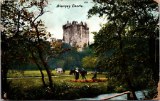 Vintage C. 1905 Blarney Castle People Cattle Cork Ireland Irish Postcard picture