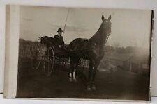 RPPC c1910 Man Gets A Picture of His Large Horse & Buggy Ohio Est. Postcard E19 picture