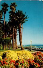 Palisades Park Santa Monica California CA Postcard PM Cancel WOB Note VTG Mirro  picture