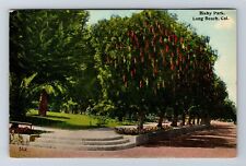 Long Beach CA-California, Bixby Park, Antique, Vintage Postcard picture