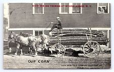 Postcard Stone Ridge New York Exaggerated Corn How We Do Things c.1912 picture