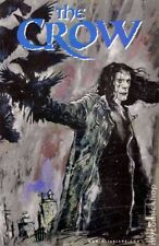 Crow #8 FN/VF 7.0 1999 Stock Image picture
