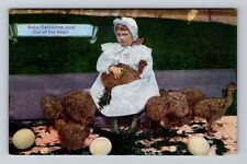 Los Angeles CA-California, Cawston Ostrich Farm Hatched Babies Vintage Postcard picture
