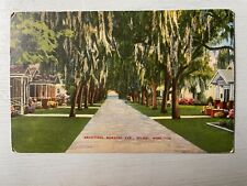 Vintage Postcard 1944 Beautiful Benachi Avenue Biloxi Mississippi picture