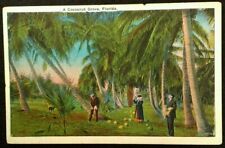 Florida Postcard Vtg Early 1900s Coconut Grove Palm Trees Cocoa Antique Fashion  picture