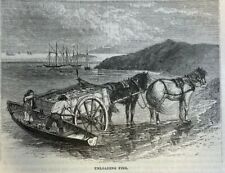 1874 Marblehead Massachusetts Oakum Bay Tucker's Wharf illustrated picture