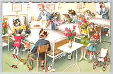 c1960s Alfred Mainzer Anthropomorphic Cats Hospital Nurses Vintage Postcard picture