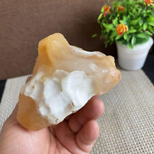 441g Bonsai Suiseki-Natural Gobi Agate Eyes Stone-Rare Stunning Viewing B986 picture