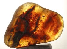 ++ ADMIRABLE Mexican Amber Raw 55g ++ picture
