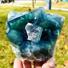 1.61LB Natural green cubic fluorite quartz crystal mineral specimen picture