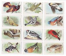 Church & Dwight Useful Birds of America Set of 15 Arm & Hammer 1930's picture