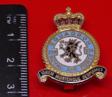 RAF Museum Royal Air Force Enamel Pin Badge No 234 Squadron Queens Crown picture