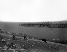 1900 Kingston, Ont. from Old Fort Henry Old Photo 8.5