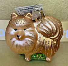 Old World Christmas Ornament Pomeranian Dog Standing Blown Glass Glitter 🎄 picture