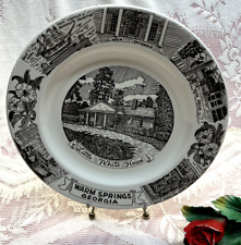 ROOSEVELT'S LITTLE WHITE HOUSE WARM SPRINGS GEORGIA STAFFORDSHIRE JONROTH PLATE picture